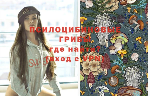 мдпв Балахна