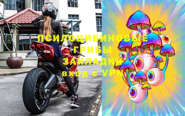 мдпв Балахна