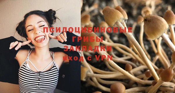 мдпв Балахна