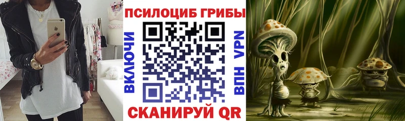 закладки  Ленинск  Галлюциногенные грибы GOLDEN TEACHER 